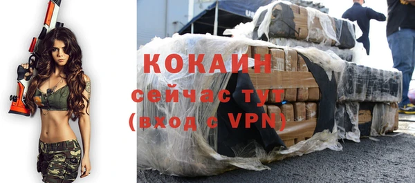 первитин Новодвинск